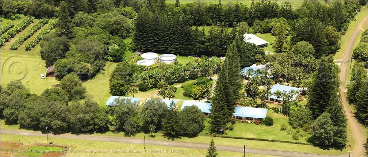 Peter Bellingham Photography Tradewinds - Norfolk Island T (PBH4 00 18976)